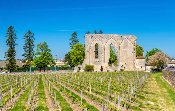 Vignobles Bordeaux
